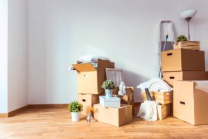 Moving boxes, potted plants, and various household items are stacked against a white wall in what appears to be an empty room with hardwood flooring.